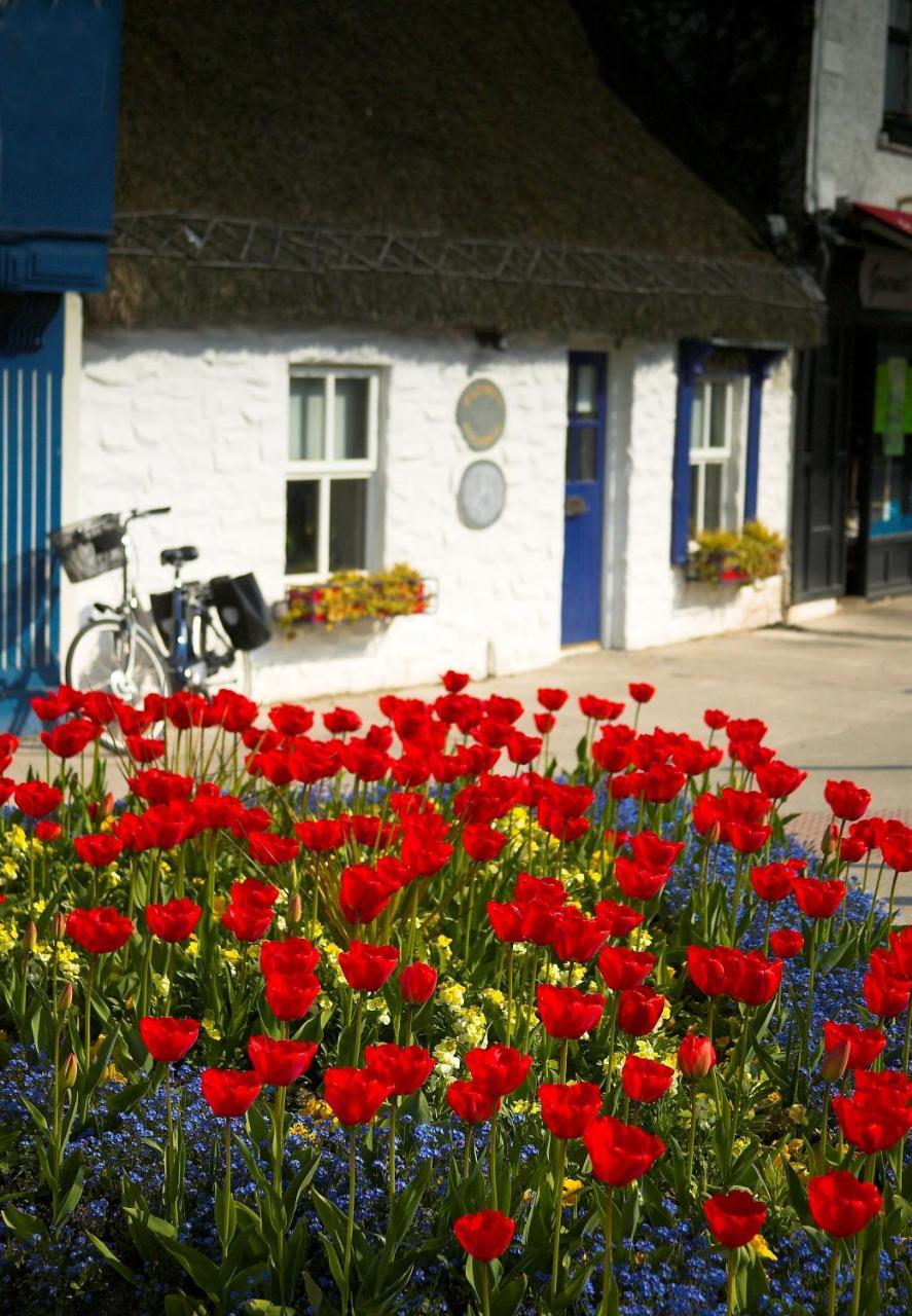 The Redbank Guesthouse Skerries Exterior foto